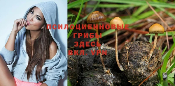 гидропоника Инсар