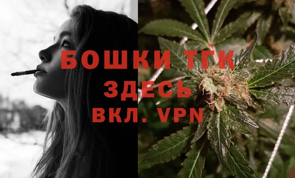 спиды Каменногорск