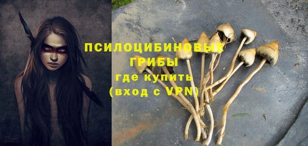 спиды Каменка