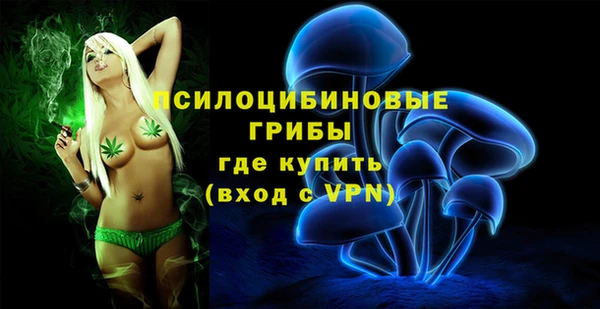 гидропоника Инсар