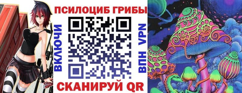 Купить закладки Сураж Галлюциногенные грибы Psilocybine cubensis